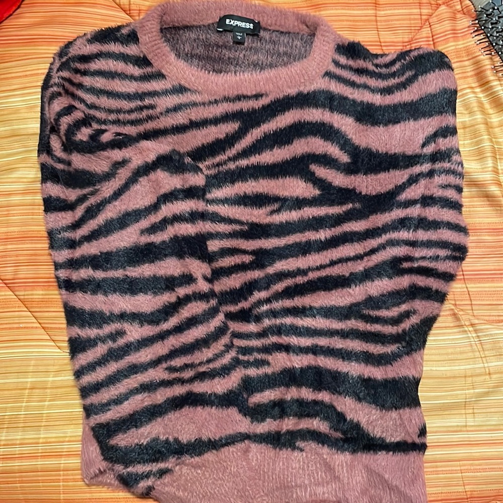 Express-Fuzzy Sweater